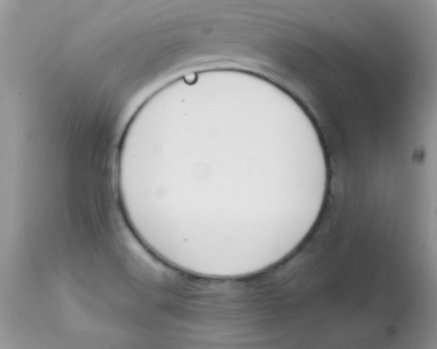 X0000113101516200909182126