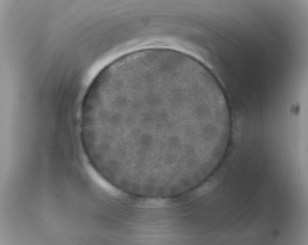 X0000113101519200909182126