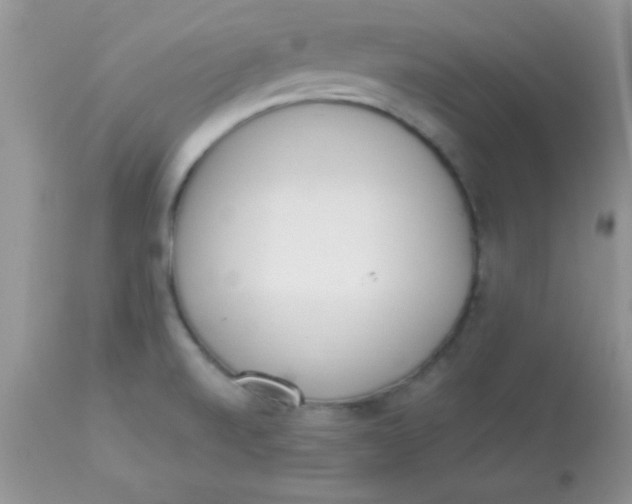 X0000113101520200909182126