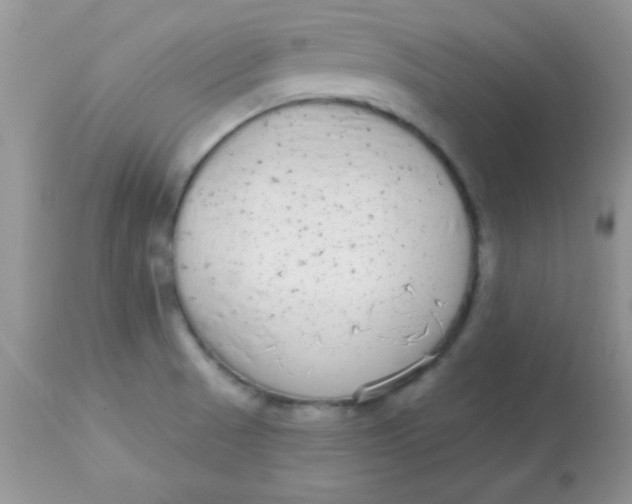 X0000113101521200909182126