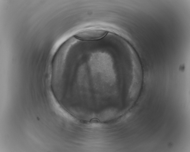 X0000113101522200909182126