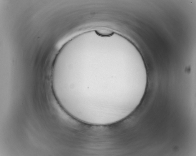 X0000113101526200909182126