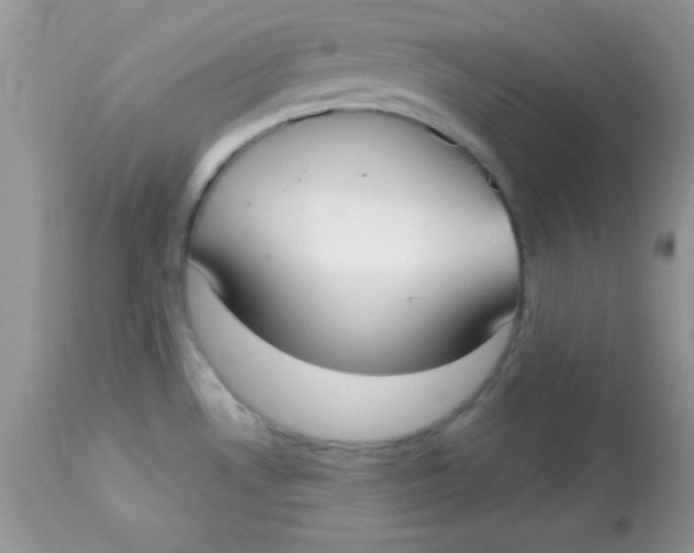 X0000113101530200909182126