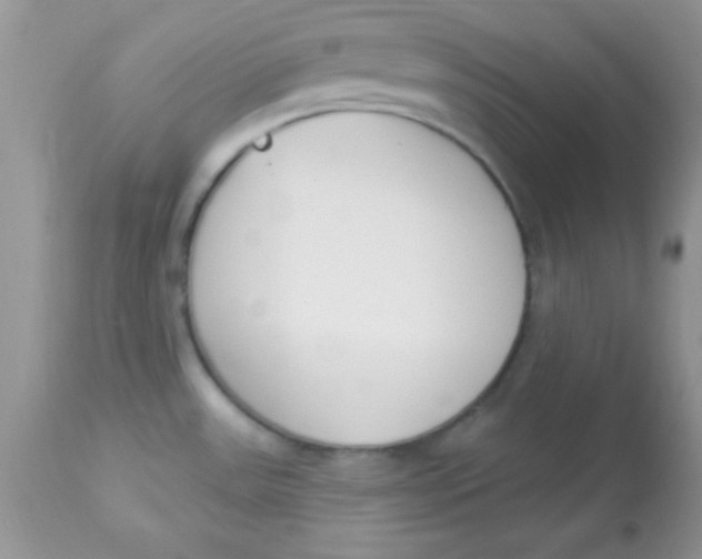X0000113101531200909182126