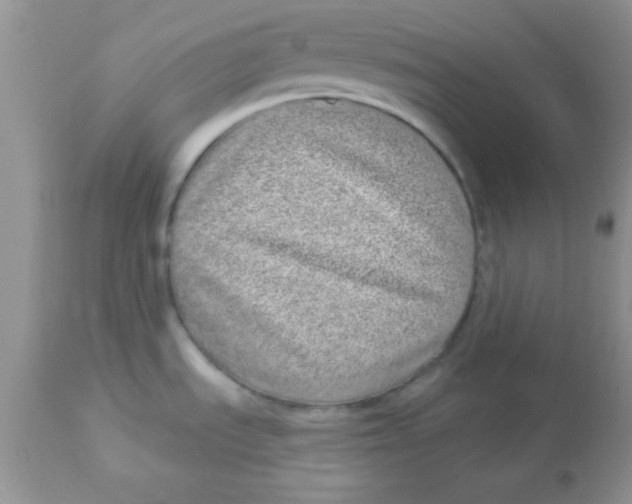 X0000113101535200909182126