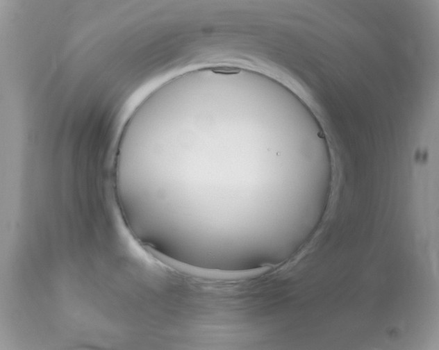 X0000113101536200909182126