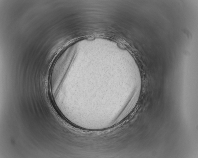X0000113100002200909251041
