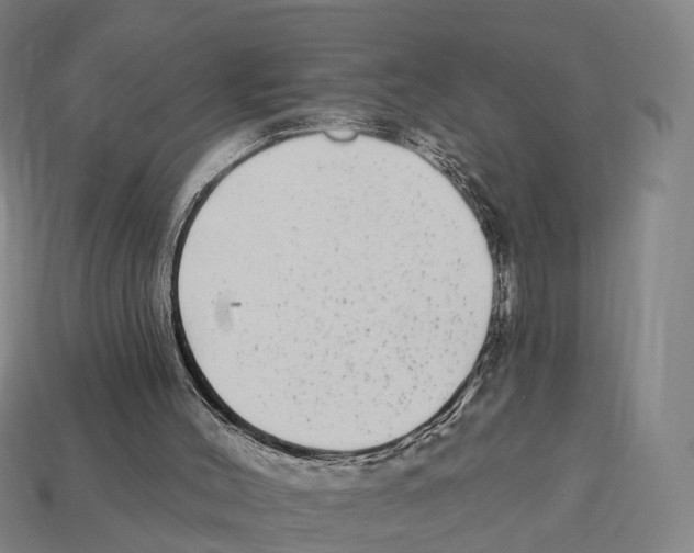 X0000113100004200909251041