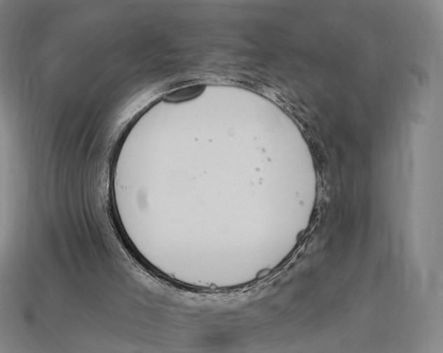X0000113100005200909251041