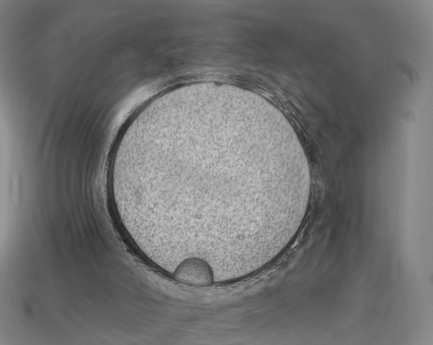 X0000113100006200909251041