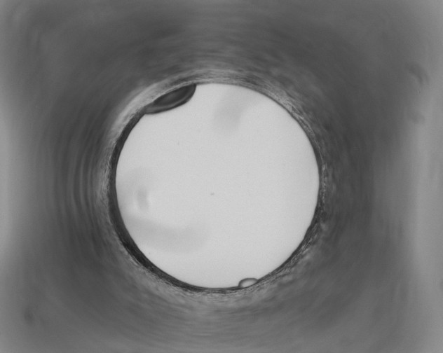X0000113100007200909251041