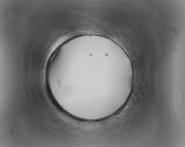X0000113100008200909251041