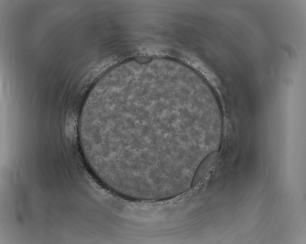 X0000113100009200909251041