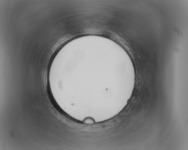 X0000113100011200909251041