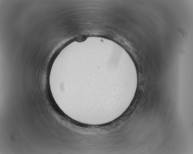 X0000113100012200909251041