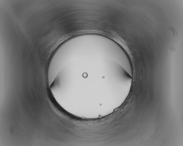 X0000113100013200909251041