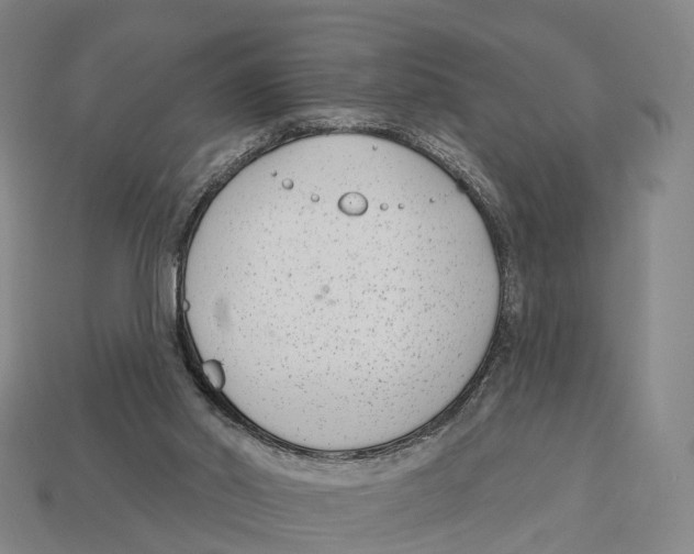 X0000113100014200909251041