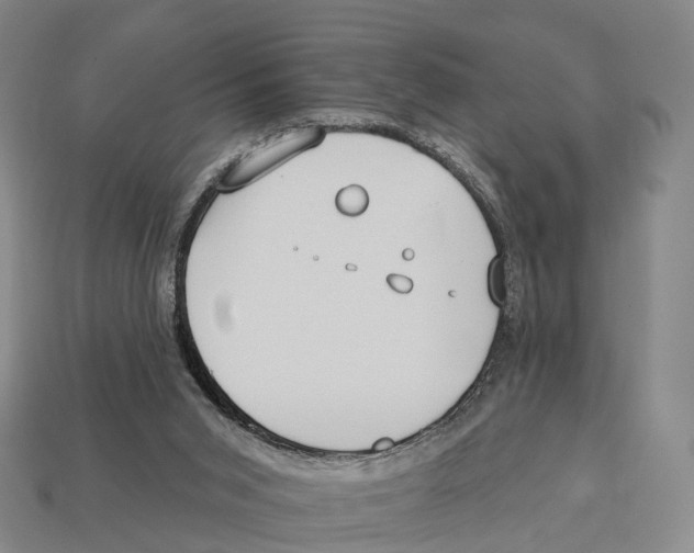 X0000113100015200909251041