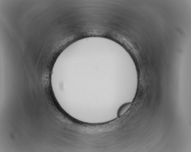 X0000113100017200909251041