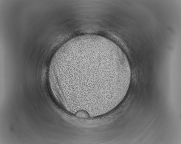 X0000113100018200909251041