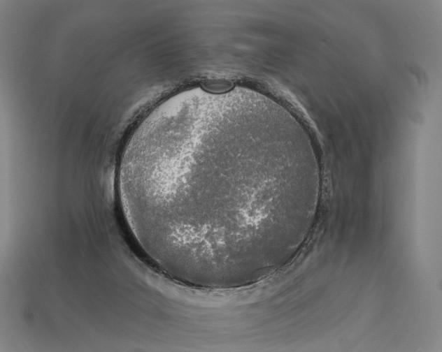 X0000113100019200909251041