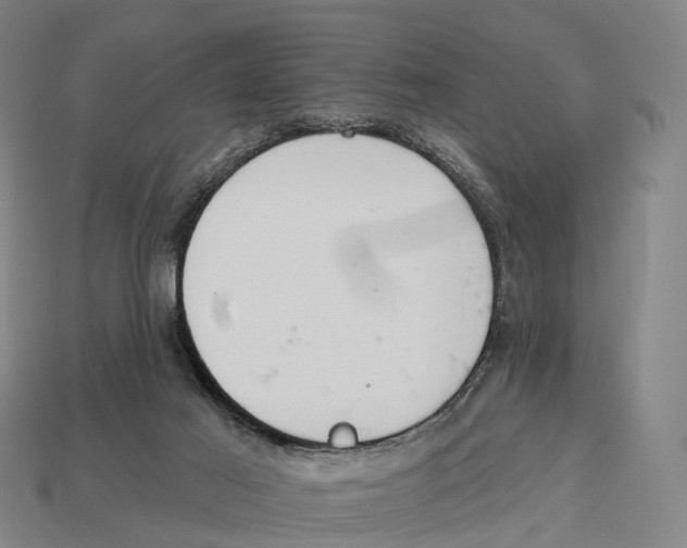 X0000113100021200909251040