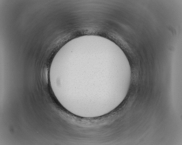 X0000113100022200909251040