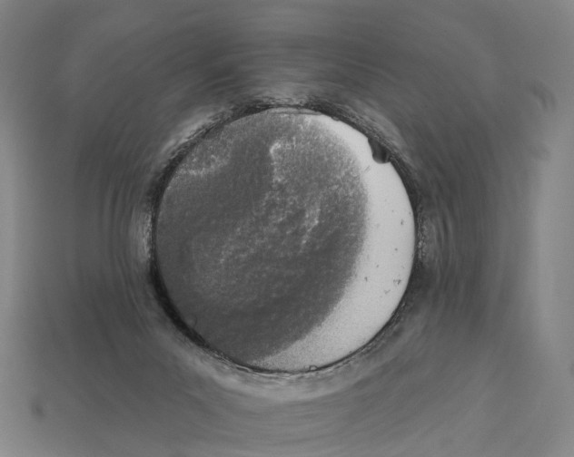 X0000113100023200909251040
