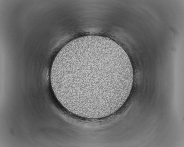 X0000113100024200909251040