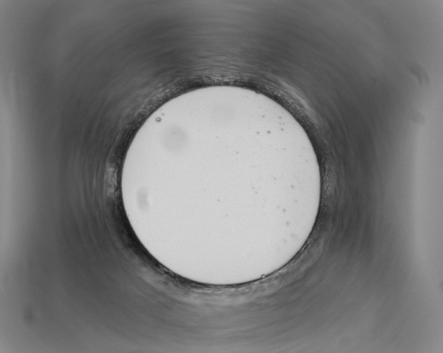 X0000113100025200909251040