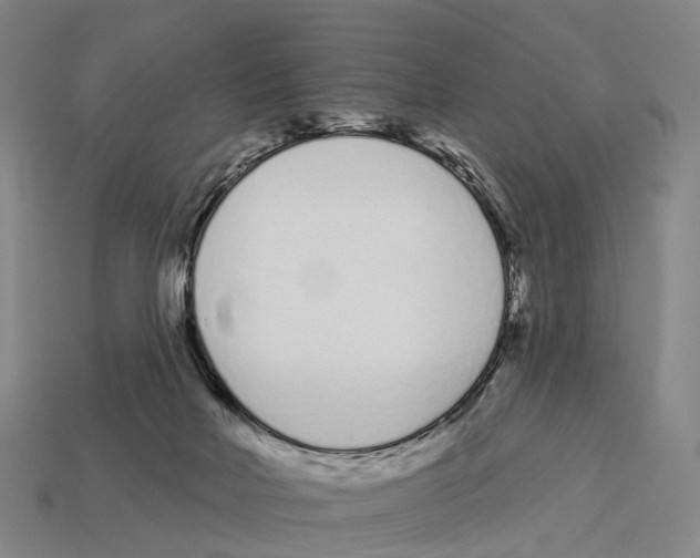 X0000113100026200909251040