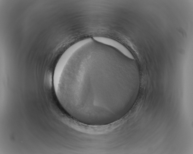 X0000113100027200909251040
