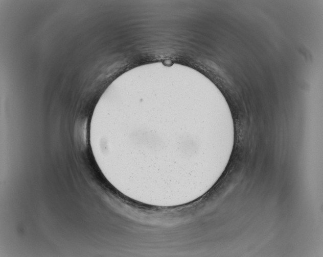 X0000113100028200909251040