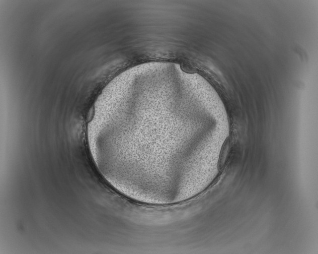 X0000113100029200909251040