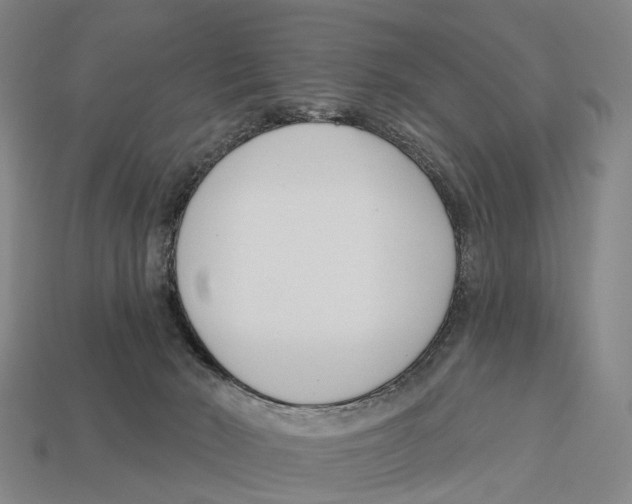 X0000113100030200909251040