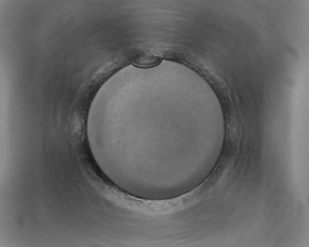 X0000113100031200909251040