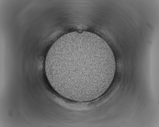 X0000113100032200909251040