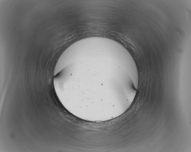 X0000113100033200909251040