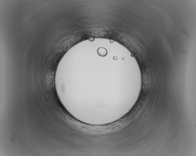 X0000113100034200909251040