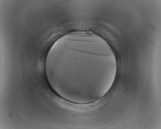 X0000113100035200909251040