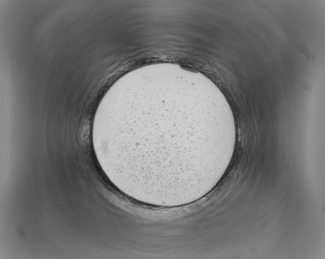 X0000113100036200909251040