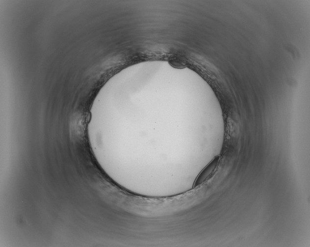 X0000113100037200909251040