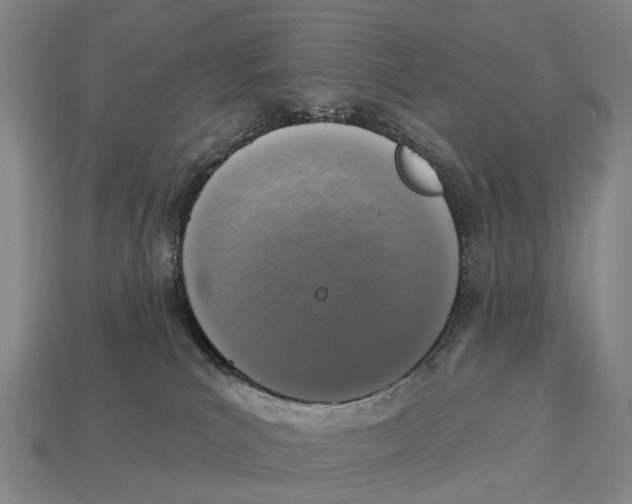 X0000113100039200909251040
