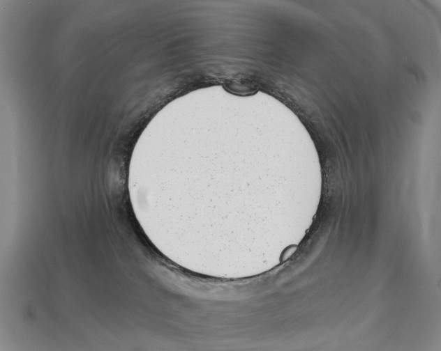 X0000113100040200909251040