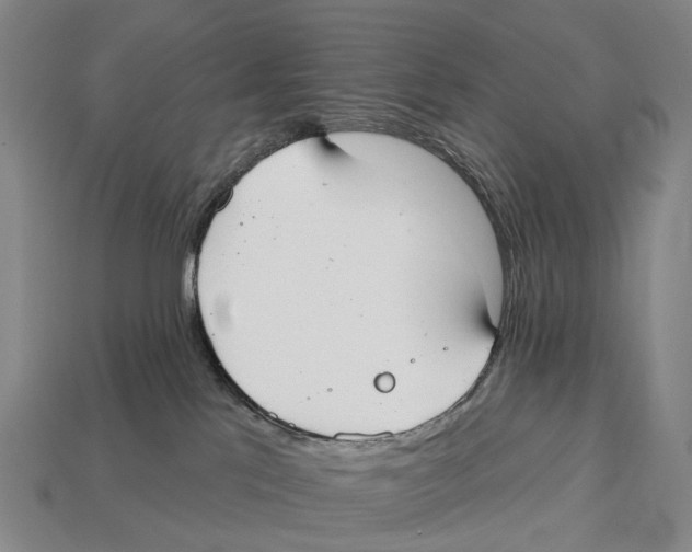 X0000113100041200909251040
