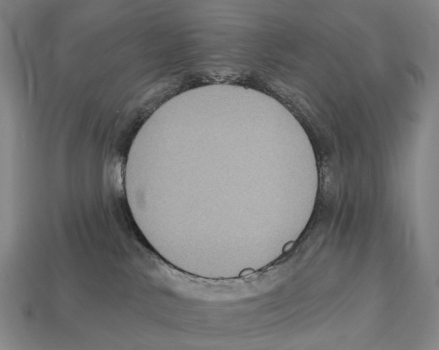 X0000113100042200909251040