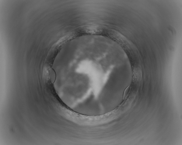 X0000113100043200909251040