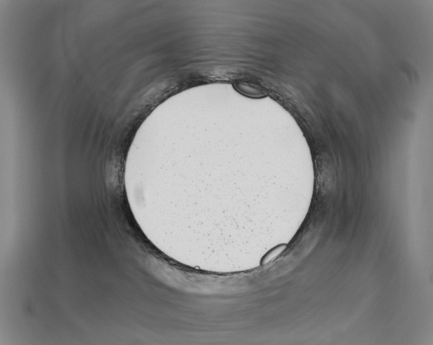 X0000113100044200909251040