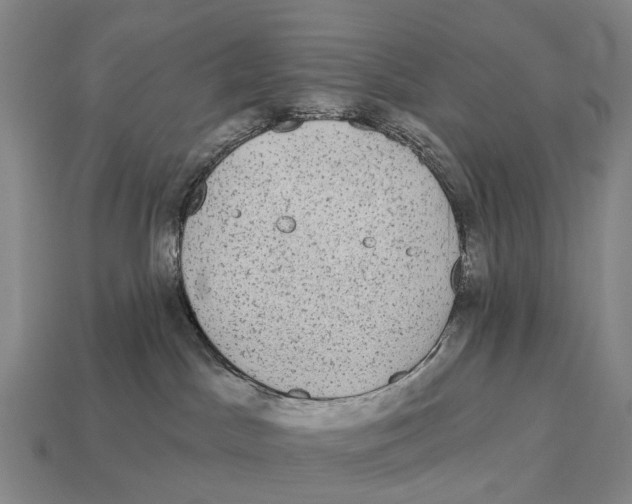 X0000113100045200909251040