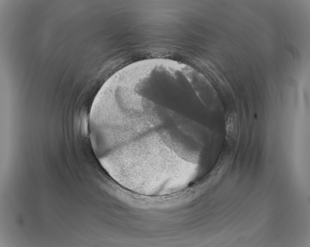 X0000113100046200909251040